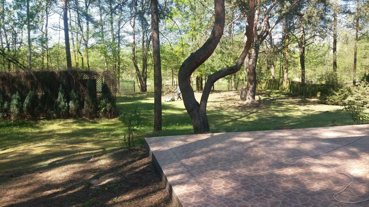Domek Nad Narwia Dlugosiodlo Exteriér fotografie